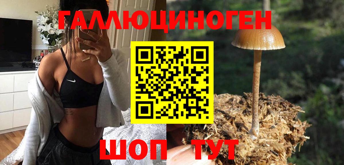 Псилоцибиновые грибы GOLDEN TEACHER Чусовой