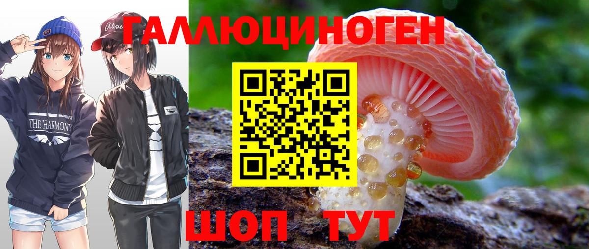 дарнет шоп  Псилоцибиновые грибы прущие грибы  Вход с VPN  Чусовой 